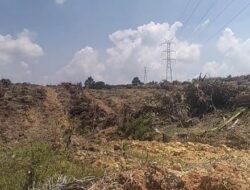 PENGAKUAN LUTHFI: 180 HA KEBUN SAWIT KUD KARYA BARU DIRATAKAN, RUGI CAPAI Rp55 MILIAR LEBIHHumas PT Arara Abadi Akui Eksekusi Tanpa Surat, 5 Excavator Babat Buta, 500 Petani Swasembada Jadi Korban