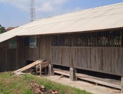 Program Ketapang 2025 Senilai Rp 226 Juta Gagal, Kinerja Pengurus BUMDes Parakan, Maleber Dipertanyakan