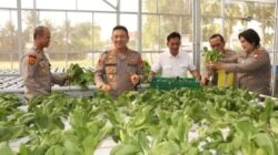 Kapolres Metro Jakarta Barat Tinjau SPPG dan Panen Sayuran Pokcoy Di Greenhouse SPPG Polri Palmerah