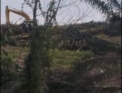 PT. ARARA ABADI TERBUKTI SABOTASE PROGRAM CETAK SAWAH 1000 HA PROGRAM KETAHAN PANGAN NASIONAL DI TAPUNG HILIR