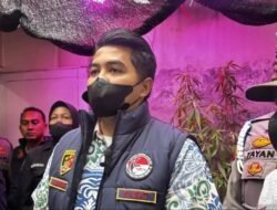 Polisi Bongkar Budidaya Ganja Milik Oknum PPPK di Bandung