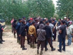 OTT OLEH PETANI! ANIL HUMAS PT ARARA ABADI TERTANGKAP TANGAN RAMPAS 180 HA LAHAN MKGR DI KAMPAR
