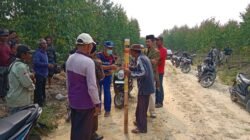SINDIKAT SEROBOT LAHAN TERBONGKAR: ANEL HUMAS PT. ARARA ABADI PERAWANG CATUT NAMA EDI HARIS MZ DIREKTUR PT. ARARA ABADI