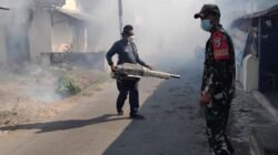 Cegah Demam Berdarah, Babinsa Kalipucung Pendampingan Fogging Serentak Di Dusun Kalipucung